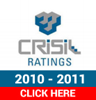 CRISIL 2010-2011